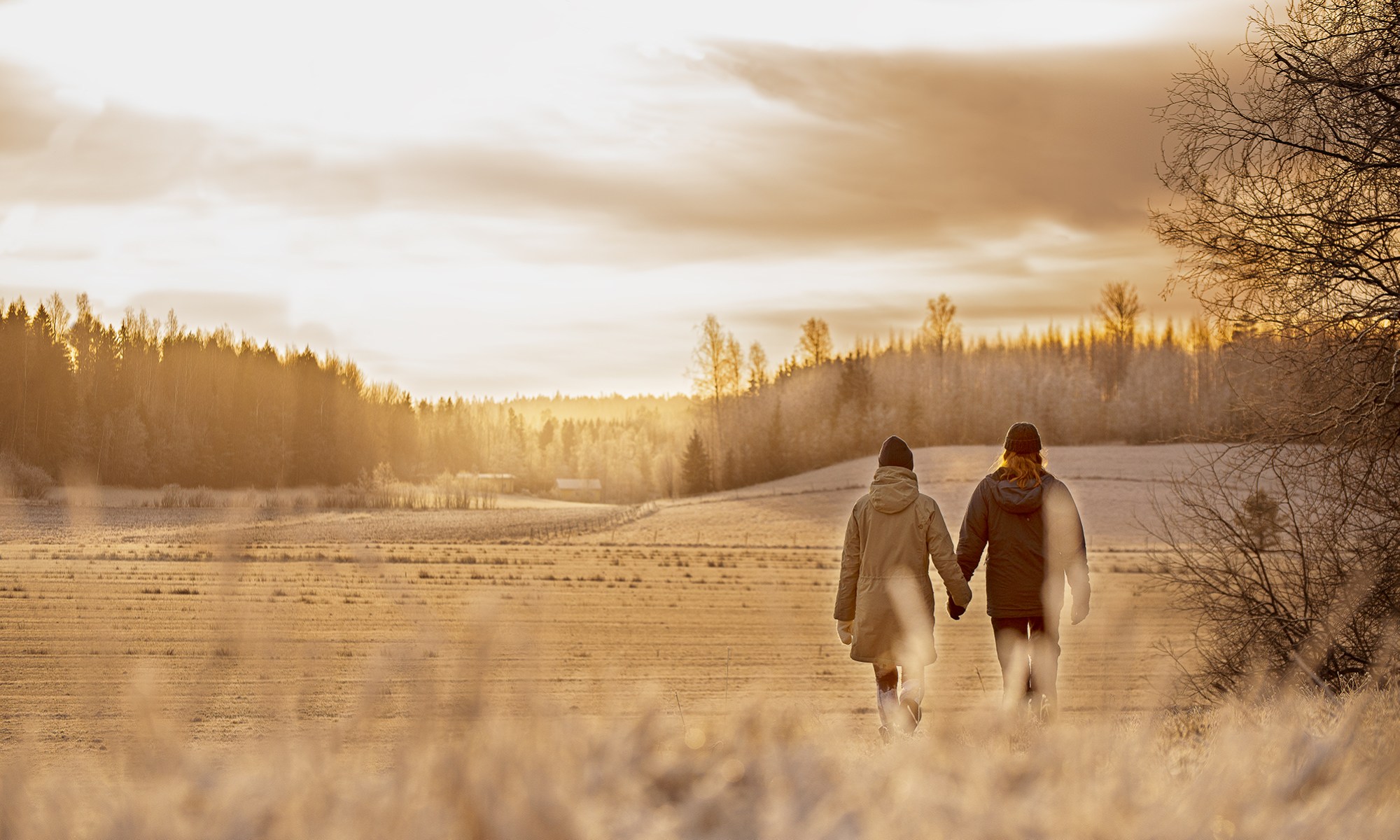 Aamukävelyllä auringon noustessa.